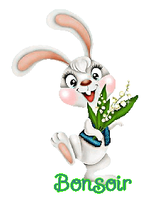 Gif animé bonsoir lapin